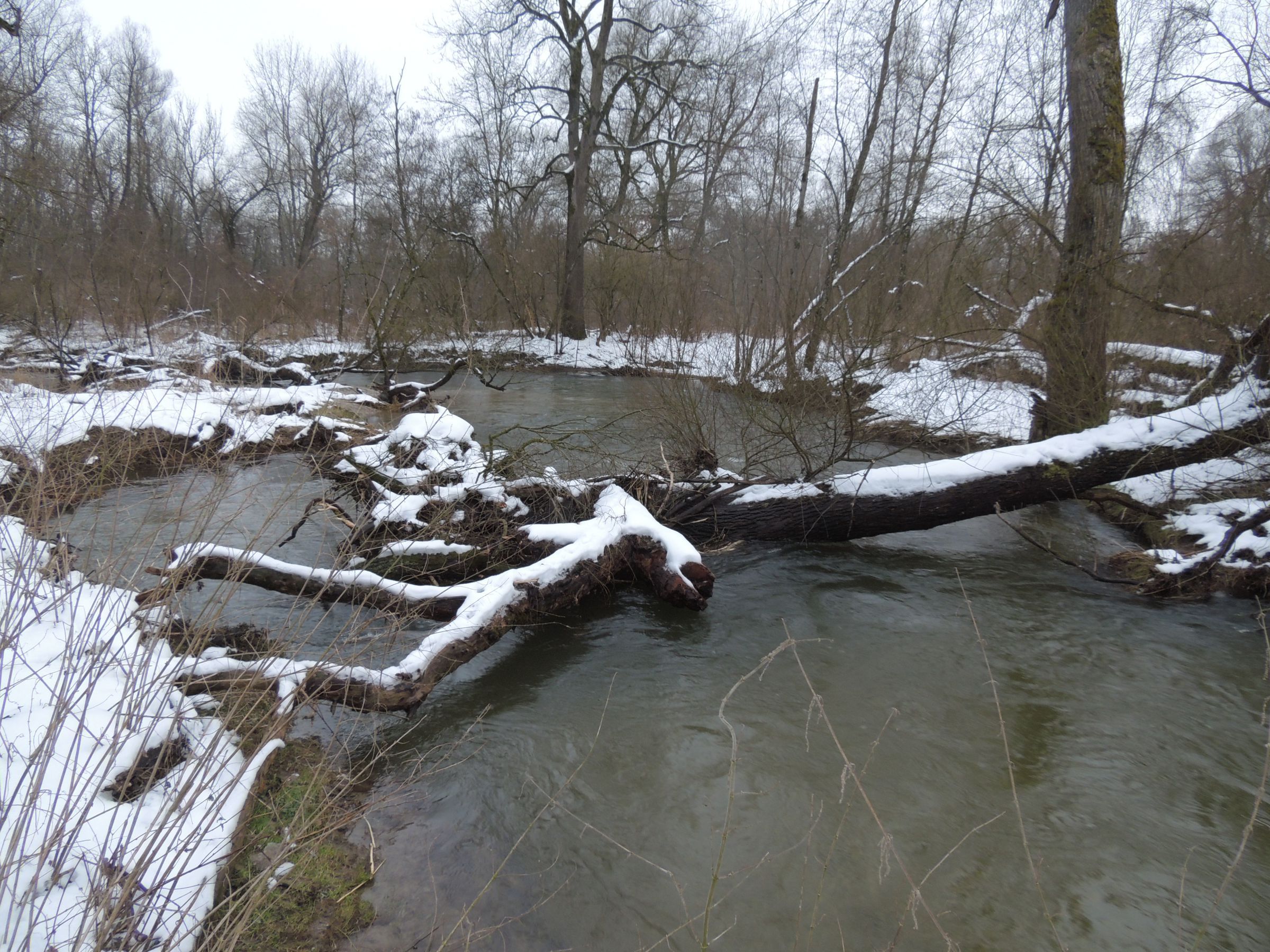 Amperdurchbruch Isareck