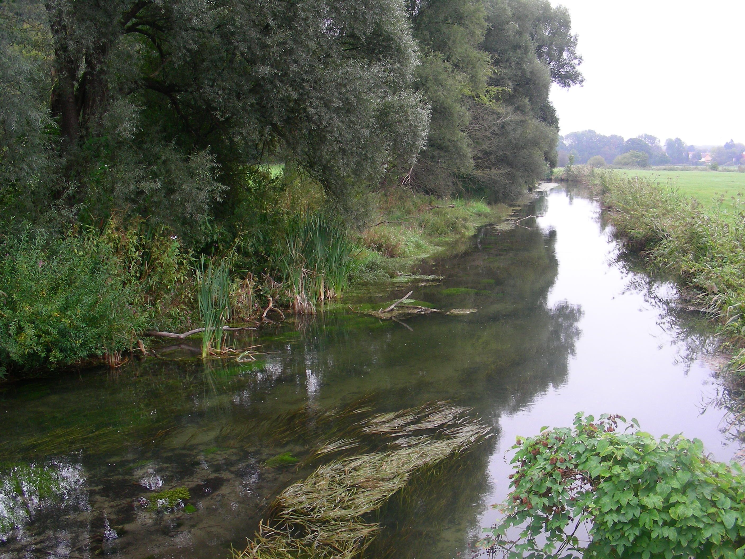 Moosach an der Mühle (Vötting)
