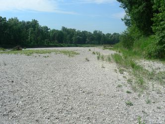 neue Kiesbänke bei Oberhummel