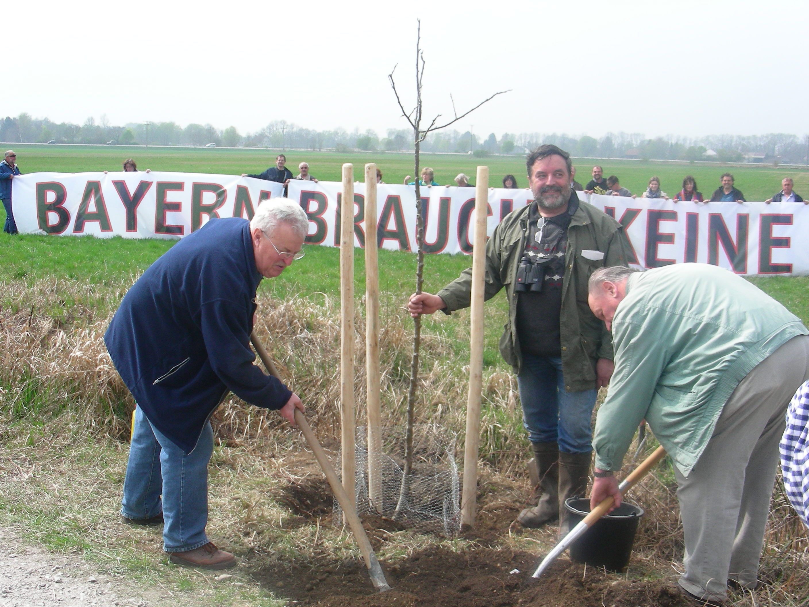 ein Baum wird gepflanzt