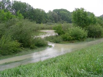 Isarhochwasser 2013
