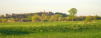 Moos breit Bund Naturschutz Freising